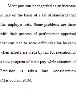 Total Rewards_2-1 Short Paper - Precision Performance Case Study